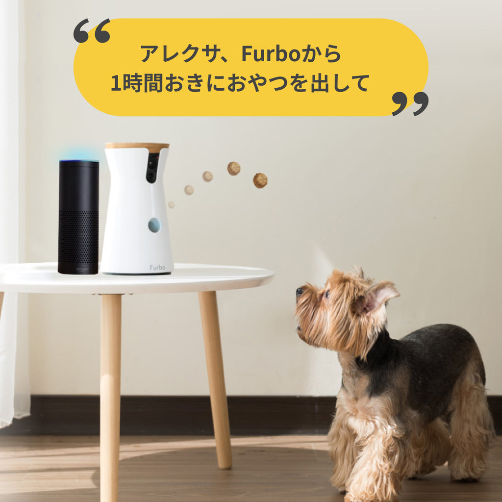 Furboドッグカメラ 360°ビュー
