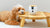 Furboミニ 360°ビュー  | 定額セットプラン